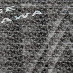 Sharkiface, Julia Mazawa, Vertonen, MT Coast