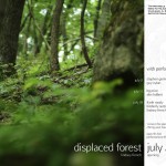 Lindsey French's Displaced Forest OPENING w/performances by Stephen Germana and Guy Eytan