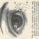 meekling press TALKS: Exploits & Opinions - Part 2